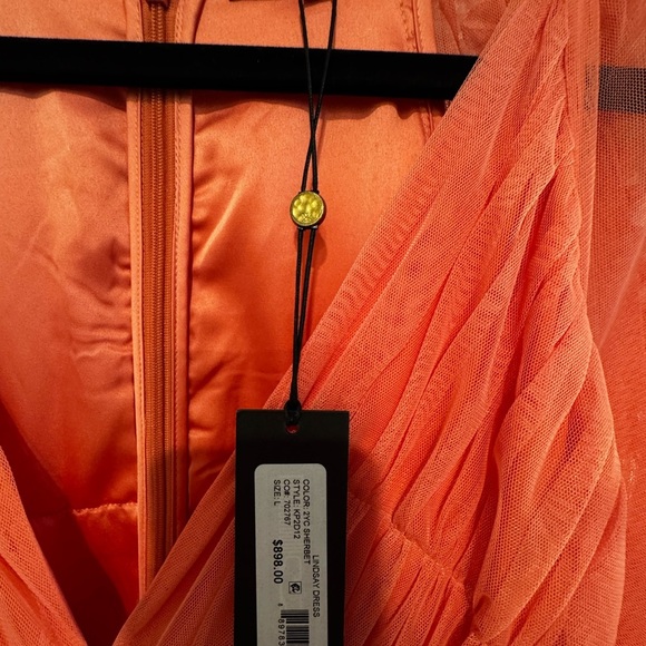 Kobi Halperin Lindsay Sherbet Tulle Maxi Dress | NWT | Size L | $898 Retail - Picture 5 of 5